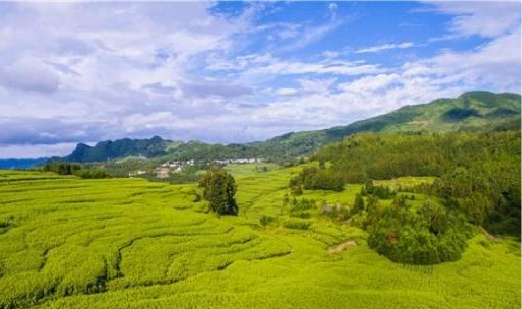 贵州地方特色商品交易平台