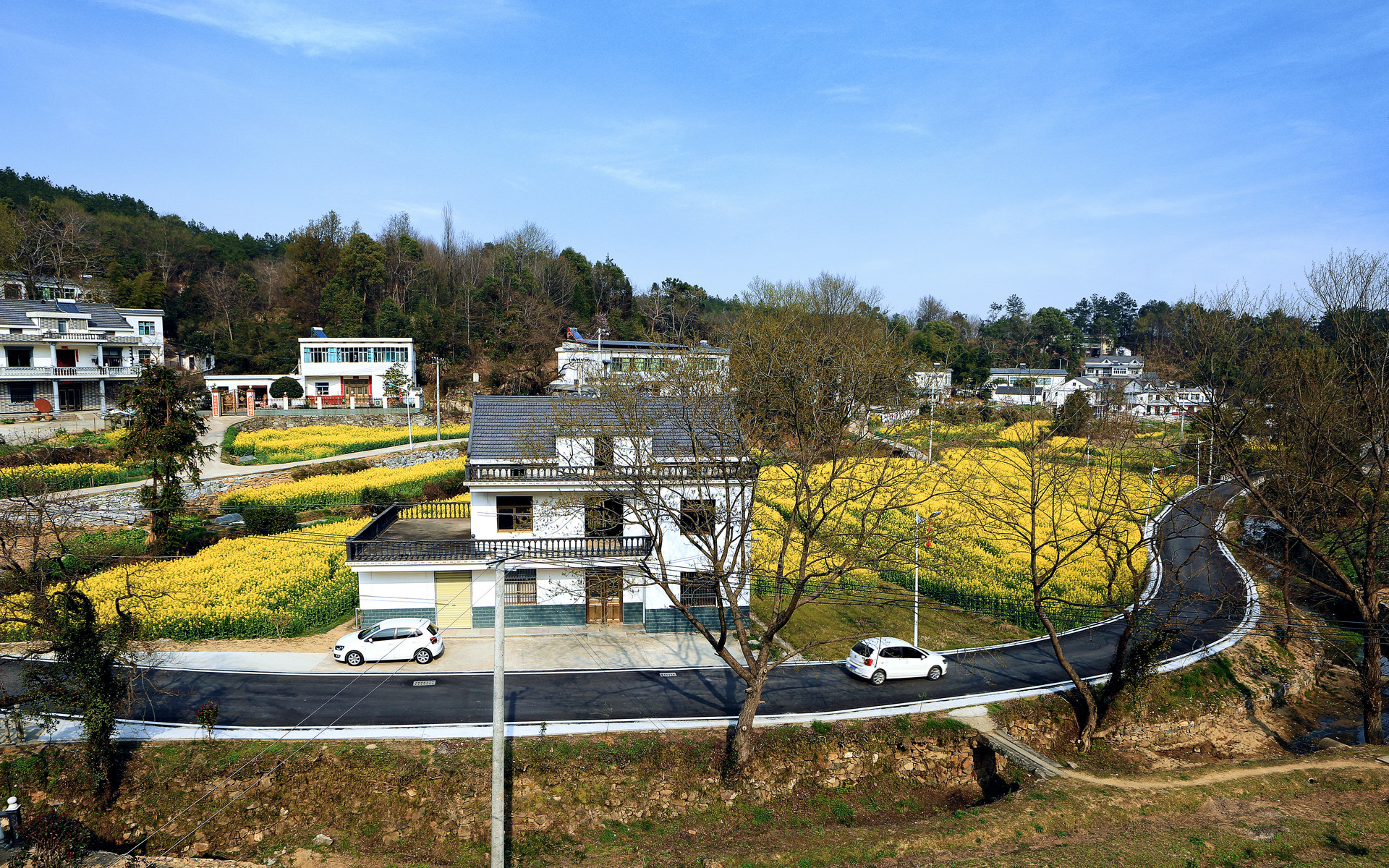 数字乡村十个重点建设任务（转载）